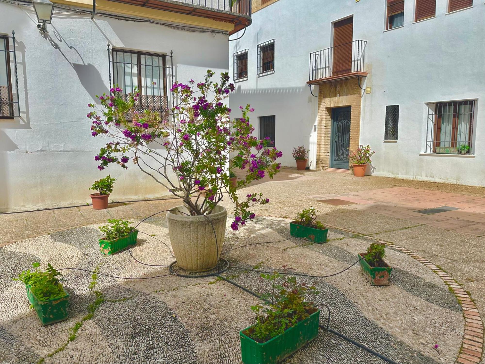 La Sacristia De San Pablo Lägenhet Córdoba Exteriör bild